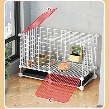 うさぎの小屋　Kojima 10.jpg